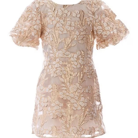GB girls Other - Toddler fancy gold and flower dress